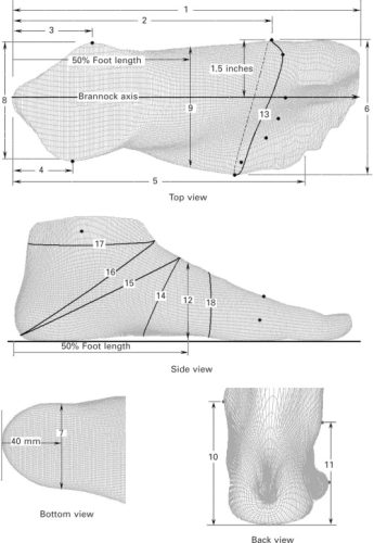 3d foot dimensions
