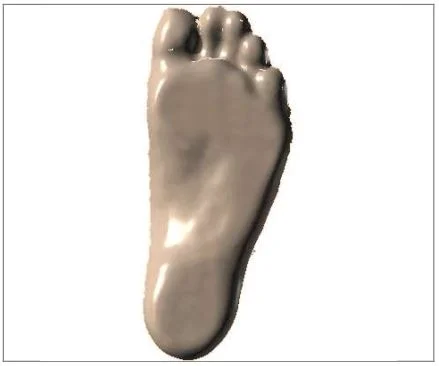 3d plantar scanner