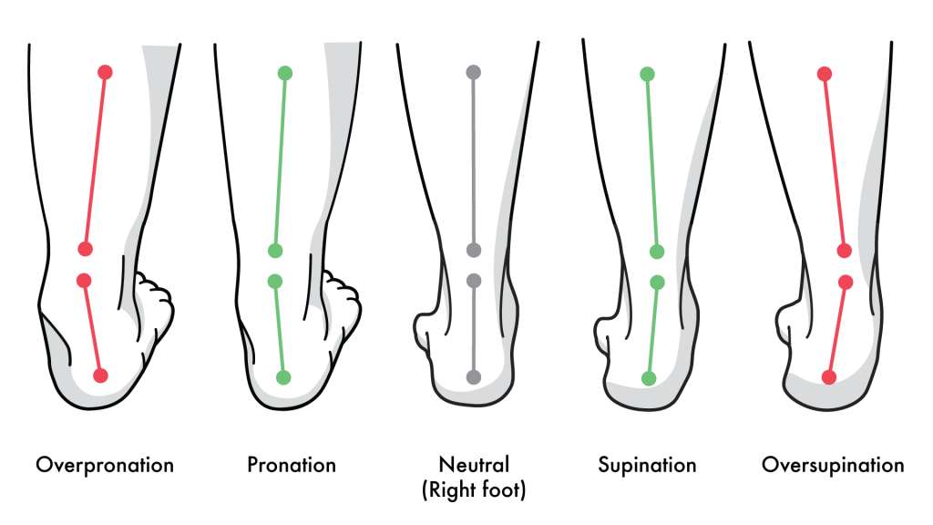 supination to pronation